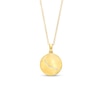 Thumbnail Image 0 of Diamond Accent Aries Zodiac Disc Necklace in Sterling Silver with 14K Gold Plate - 18"